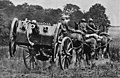 Six-horse Royal Horse Artillery team with 13-pounder cannon at speed, World War I. Not really right-facing, but full of action and a photograph (Pesky)