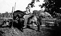 Two Iowa farm boys riding a pony, about 1937