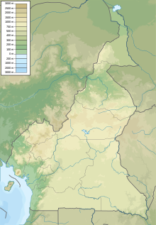 Mount Cameroon is located in Cameroon