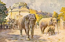 Asian elephants at the zoo (historical postcard)