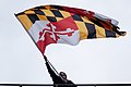 Flag waving during a Baltimore Ravens game