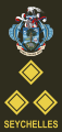 Brigadier (Seychelles Infantry Unit)[23]