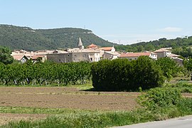 A general view of Chusclan
