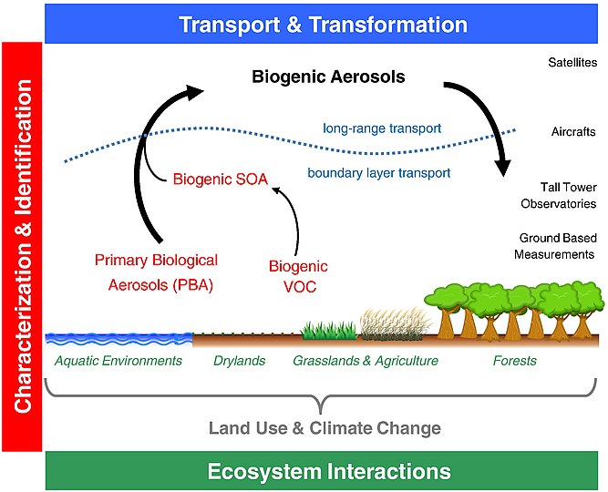 Global ecosystem interactions of bioaerosol particles Key aspects and areas of research required to determine and quantify the interactions and effects of biogenic aerosol particles in the Earth system, including primary biological aerosols directly emitted to the atmosphere and secondary organic aerosols formed upon oxidation and gas-to-particle conversion of volatile organic compounds.[129]