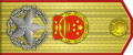 中国人民共和国元帅肩章（横）