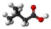 Ball-and-stick model of 3-methylbutanoic acid