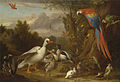 Jacob Bogdani (1660 - 1724) (1688) A Macaw, Ducks, Parrots and Other Birds in a Landscape Hellroter Ara