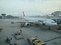 Our Northwest Airlines Airbus A330 for our flight to Narita International Airport in Tokyo