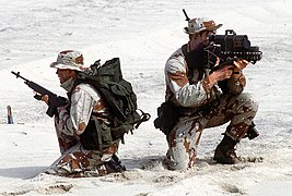 Two Sea-Air-Land (SEAL) team members, one equipped with an AN/PAQ-1 laser target designator, right, the other armed with an M14 rifle, assume a defensive position