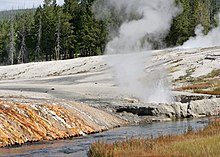 Farbfotografie einer heißen Quelle an einem Felsenufer mit einem kleinen Flussverlauf am unteren Bildrand. Im Hintergrund ist ein riesiger Wald zu sehen.