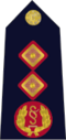 Rank insignia of Garda Commissioner