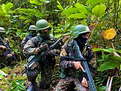 Jungle Warfare infantry