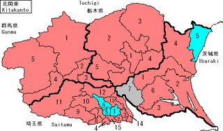 Single member results -- LDP in red, DPJ in light blue, Independent in grey