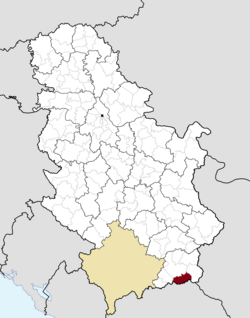 Location of the municipality of Trgovište within Serbia
