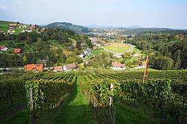 Weingärten im Bereich von Voitsberg
