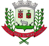 Coat of arms of Sales Oliveira