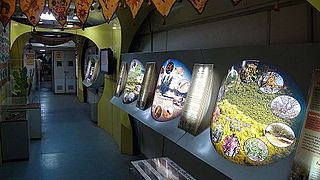 Exhibits of the Biodiversity Special in 2014