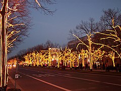 Unter den Linden at Christmas