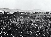 Kfar Giladi 1930