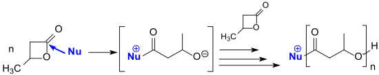 Ringöffnende Polymerisation von β-BL mit N-heterocyclischen Carbenen (NHCs)