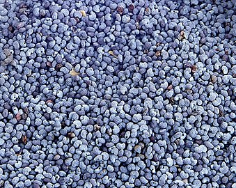Czech blue poppy seeds