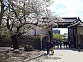 Inner-view of Sakuramon Gate