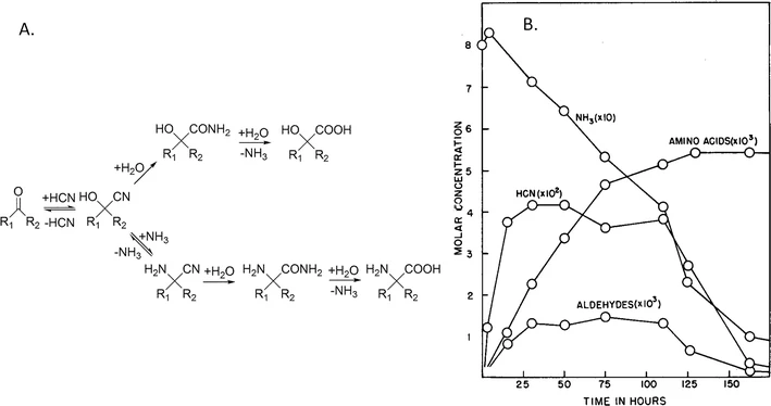 File:Evidence for Strecker-type amino acid synthesis in the Miller-Urey experiment.webp