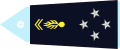 Service dress insignia of a French général de corps d'armée in the French Gendarmerie