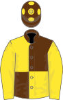 Brown and yellow quartered, yellow sleeves, brown cap, yellow spots