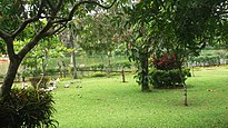 Pilikula Botanical Garden - Ducks taking rest