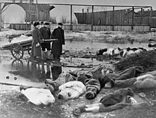 Corpses in the street next to a cart