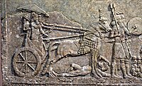 Sargon II in his royal chariot, tramping a dead or dying enemy, part of a war scene from Khorsabad, Iraq. The Iraq Museum