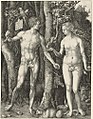 Albrecht Dürer 'Adam and Eve' (1504), Paradis mehrere weitere Sittiche bei Dürer!