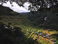 Rice Terraces of the Philippine Cordilleras, World Heritage Site and a National Cultural Treasure