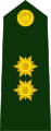 Brigadier general (Colombian National Army)[19]