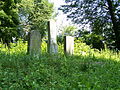 Fragment of abandoned Jewish cemetery