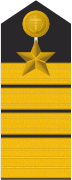 Schulterklappe eines Admirals (Truppendienst)