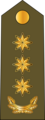 Polkovnik[2] (Azerbaijani Land Forces)