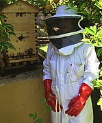 Beekeeper next to a Flow Hive