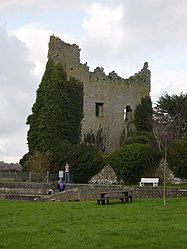 Dromineer Castle (Tower House)
