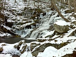 Falls Brook in the Tunxis State Forest