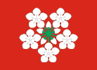 Flag of Lier Municipality