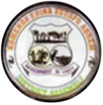 Official logo of Elmina
