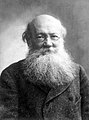 Image 29Russian scientist Peter Kropotkin first proposed the idea of fresh water under Antarctic ice. (from Subglacial lake)