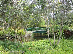 Bridge in the Garden of the Groves