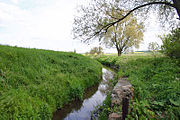 The Aller near Wefensleben, about 10 kilometres (6 mi) below its source