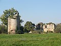 Ruinen des Château de Machecoul
