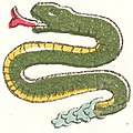 Coatl (serpent)