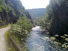 The Sanica river, lower section, just a few kilometres before it meets the Sana