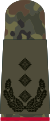 Oberst i.G. (Gen. staff service)